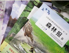 自然 第三十九季,探索未知领域的科学盛宴