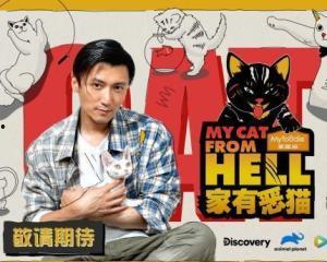 家有恶梁,揭秘家庭纷争背后的秘密与和解之道